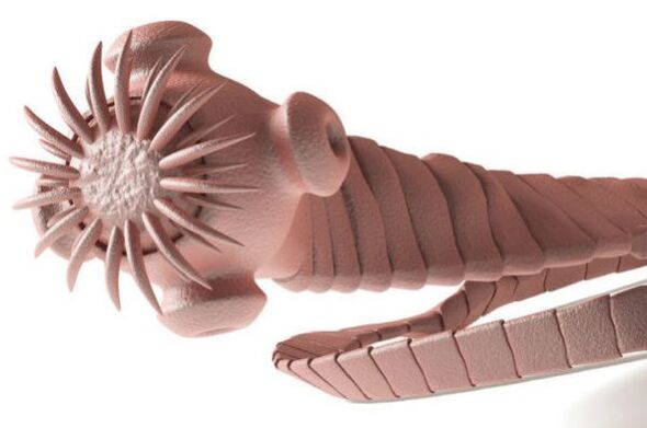 parazitas iš žmogaus kūno